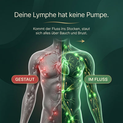 Ayleno™ Lymphatic Drainage – 21-in-1 Botanical Softgels